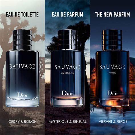 notes in dior sauvage parfum|dior sauvage price.